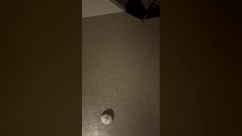 Snapshot of nikkitag93 chatting on December 18, 2025, 7:58 am nikkitag93 online show from December 18, 2025, 7:58 am