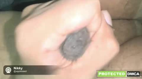 Snapshot of nikkynickpussylover chatting on December 16, 2025, 2:49 am NikkynickGooner online show from December 16, 2025, 2:49 am