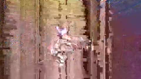 Snapshot of nikolaneedsex56 chatting on September 10, 2025, 7:08 am nikolaneedsex56 online show from September 10, 2025, 7:08 am
