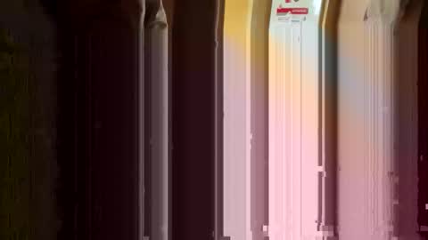 Nikolay online show from March 11, 2026, 3:23 am