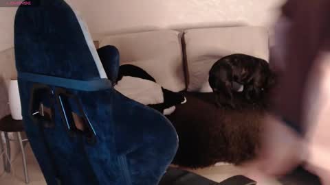 Snapshot of nikolos_vise chatting on January 29, 2025, 9:28 pm Nikolos online show from January 29, 2025, 9:28 pm