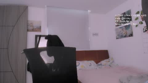 Snapshot of nikylaine chatting on July 14, 2026, 2:12 pm Nikylaine online show from July 14, 2026, 2:12 pm