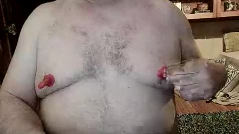 Snapshot of nip_fun_bear chatting on March 10, 2026, 2:49 am Nip Fun Bear online show from March 10, 2026, 2:49 am