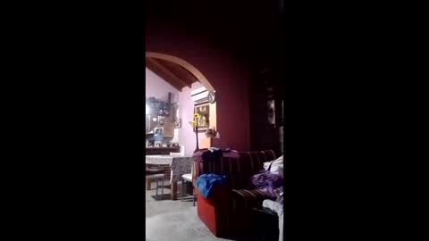 niyo_emmanuel123 online show from February 20, 2026, 3:58 am