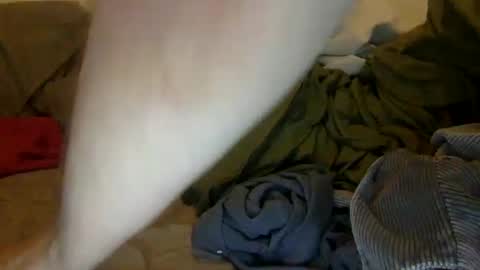 Snapshot of noah19999997 chatting on September 28, 2025, 1:16 pm Noah Warren online show from September 28, 2025, 1:16 pm