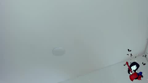 Noah  online show from October 29, 2025, 6:48 am