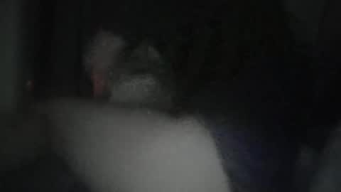 nofacenocase69_69 online show from May 5, 2026, 7:16 am