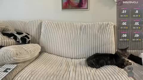 Snapshot of noturbabymoms chatting on December 24, 2024, 2:54 pm NotUrBabyMoms online show from December 24, 2024, 2:54 pm