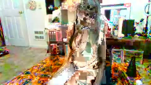 NovaNocturnal616 online show from December 21, 2024, 6:55 pm