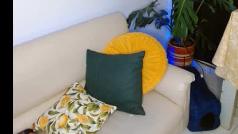 Snapshot of novaperotti chatting on October 8, 2025, 11:35 pm novaperotti online show from October 8, 2025, 11:35 pm