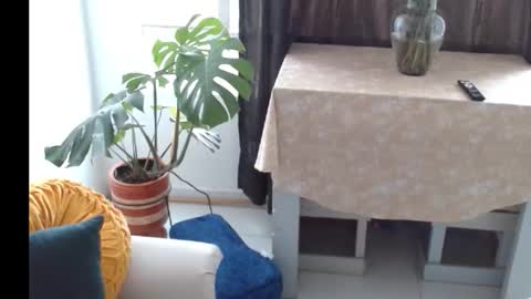 Snapshot of novaperotti chatting on November 5, 2025, 6:41 pm novaperotti online show from November 5, 2025, 6:41 pm