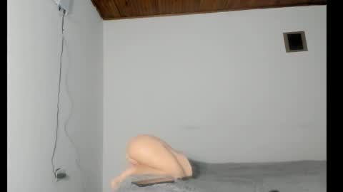 Snapshot of nreus chatting on October 8, 2025, 10:24 am nreus online show from October 8, 2025, 10:24 am