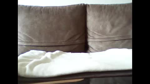 Milen online show from December 21, 2025, 11:06 am