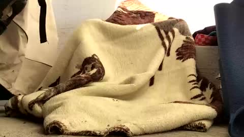 Snapshot of nuevotiempo chatting on February 23, 2026, 12:57 pm nuevotiempo online show from February 23, 2026, 12:57 pm