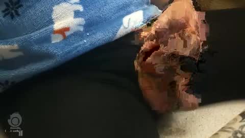 o0okukito0o online show from January 12, 2025, 10:33 pm