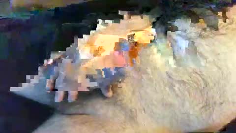 Snapshot of o269x2 chatting on May 30, 2026, 10:12 am o269x2 online show from May 30, 2026, 10:12 am
