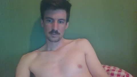 octobot2 online show from April 12, 2026, 3:17 pm