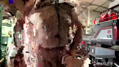 odang_13 online show from February 21, 2026, 10:55 pm