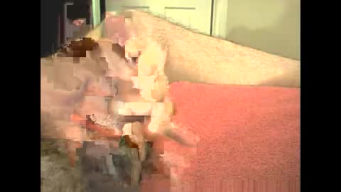 odinswarrior online show from February 28, 2026, 3:46 pm