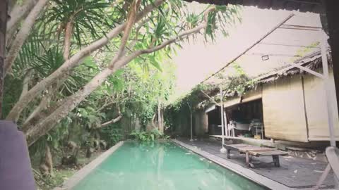 Snapshot of ohmymojo chatting on November 18, 2025, 1:55 am Mo online show from November 18, 2025, 1:55 am