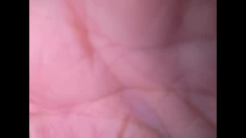 Snapshot of oldaddy2 chatting on September 21, 2025, 7:10 am oldaddy2 online show from September 21, 2025, 7:10 am