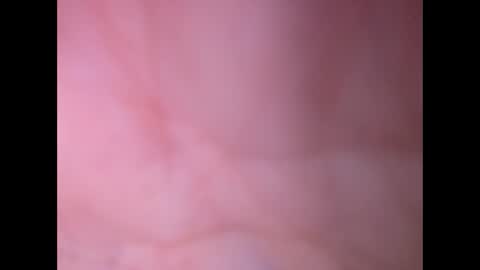 Snapshot of oldaddy2 chatting on February 23, 2026, 12:46 pm oldaddy2 online show from February 23, 2026, 12:46 pm