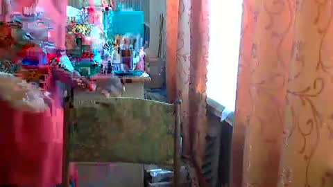 Olivia Mia online show from April 24, 2026, 8:50 am