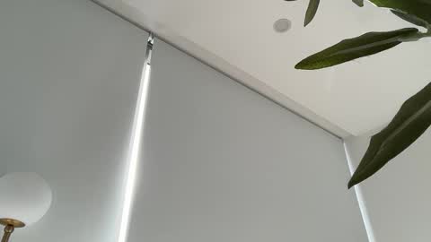 Snapshot of oliviabrookess chatting on November 27, 2025, 8:44 pm Olivia Brookes online show from November 27, 2025, 8:44 pm