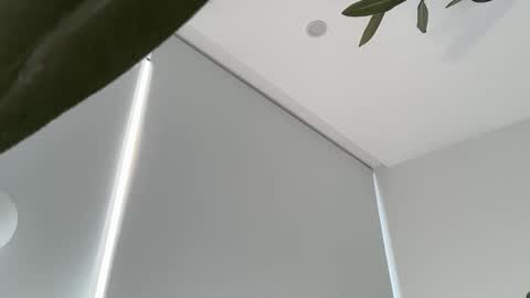 Snapshot of oliviabrookess chatting on November 30, 2025, 9:19 pm Olivia Brookes online show from November 30, 2025, 9:19 pm