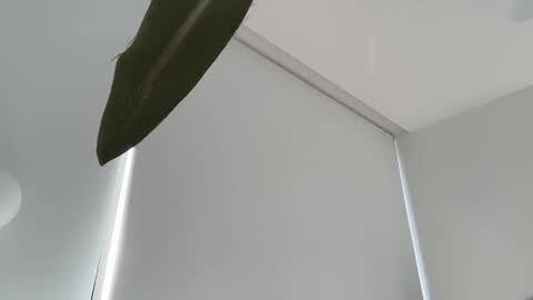 Snapshot of oliviabrookess chatting on December 4, 2025, 7:55 pm Olivia Brookes online show from December 4, 2025, 7:55 pm