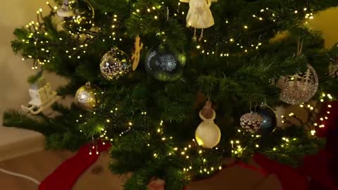 Snapshot of omiliver chatting on December 3, 2024, 9:56 pm    or    online show from December 3, 2024, 9:56 pm