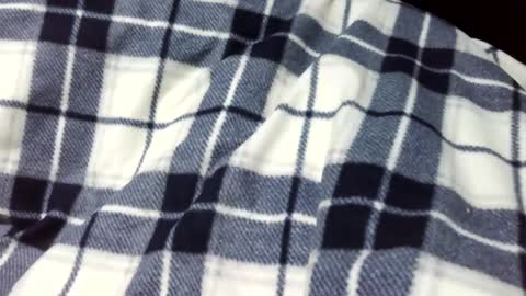 onanii21 online show from January 14, 2025, 1:58 am