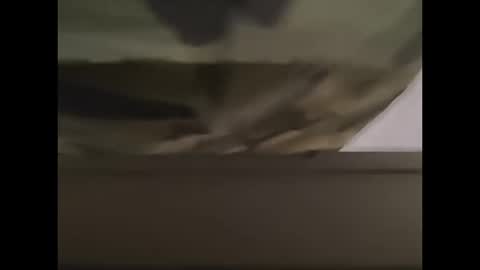 oneeyesnake1843142 online show from October 12, 2025, 1:21 pm