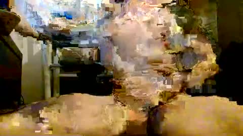 Snapshot of onlyfunnowchat chatting on January 6, 2026, 5:38 pm onlyfunnowchat online show from January 6, 2026, 5:38 pm