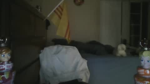 oorah1775 online show from March 1, 2025, 11:50 am