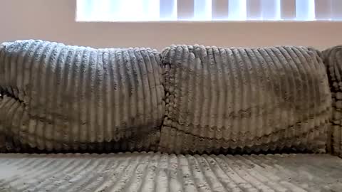 Snapshot of or2jrz chatting on November 18, 2025, 5:17 pm or2jrz online show from November 18, 2025, 5:17 pm