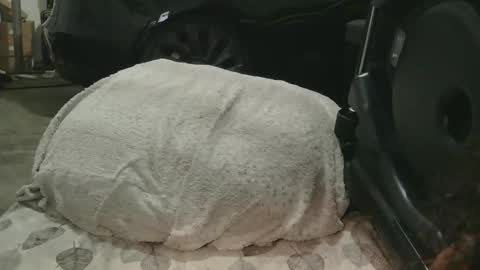 Snapshot of originalcali95 chatting on December 15, 2025, 1:32 am originalcali95 online show from December 15, 2025, 1:32 am