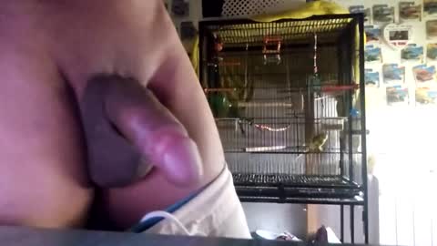 Snapshot of orlandovilla48 chatting on October 21, 2025, 11:55 am orlandovilla48 online show from October 21, 2025, 11:55 am