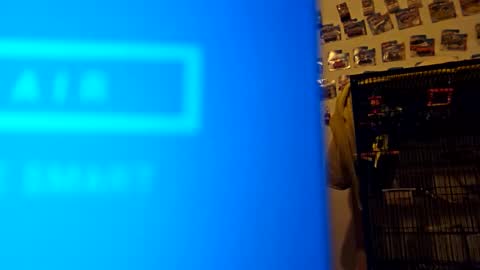 Snapshot of orlandovilla48 chatting on November 18, 2025, 12:31 pm orlandovilla48 online show from November 18, 2025, 12:31 pm