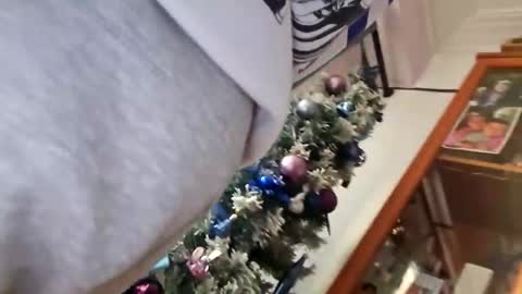 Snapshot of orlandovilla48 chatting on December 5, 2025, 12:36 pm orlandovilla48 online show from December 5, 2025, 12:36 pm