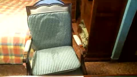 Snapshot of oscarw chatting on April 28, 2026, 3:39 pm Oscar online show from April 28, 2026, 3:39 pm