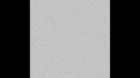 Oso Licencioso online show from November 25, 2025, 3:06 am