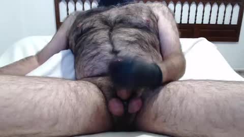 OsoTFSur online show from December 24, 2024, 9:44 pm