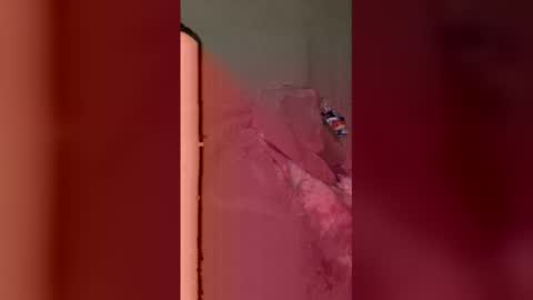 otmdetailing6 online show from December 14, 2025, 8:20 am