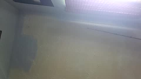 Snapshot of outlawdick226622 chatting on August 8, 2026, 3:47 pm outlawdick226622 online show from August 8, 2026, 3:47 pm
