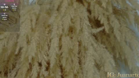 Snapshot of owen_222 chatting on July 17, 2026, 11:06 am Owen online show from July 17, 2026, 11:06 am