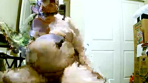 Snapshot of pafatguy chatting on December 8, 2024, 1:14 pm Bill online show from December 8, 2024, 1:14 pm