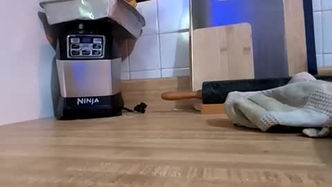 Snapshot of paint_naked chatting on January 13, 2026, 4:51 am Eros online show from January 13, 2026, 4:51 am