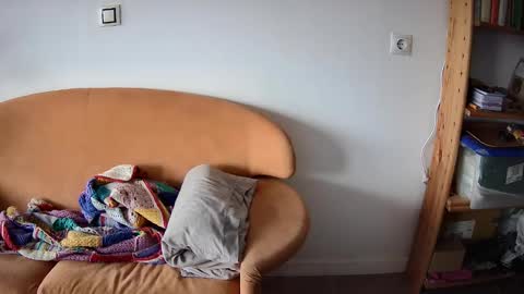 Pajarito lindo online show from September 13, 2025, 12:38 pm