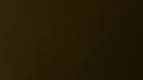 palerider269 online show from November 19, 2025, 7:36 pm